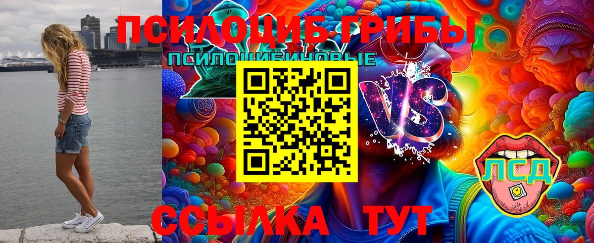 Галлюциногенные грибы Cubensis  Псилоцибиновые грибы MAGIC MUSHROOMS  как найти наркотики  Вход с VPN  Ростов Великий 